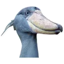 Стикер Китоглав