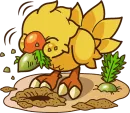 Стикер Chocobo