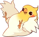 Coca Bird