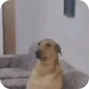 Стикер Ладно