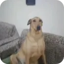 Стикер Ладно