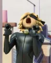 Ladybug