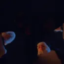 Стикер Legacies Pandas