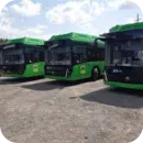 Стикер Автобусы