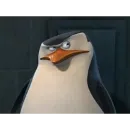 Пингвины