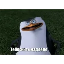 Стикер Пингвины