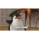 Стикер Пингвины