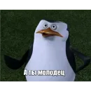 Стикер Пингвины