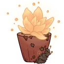 Light in the darkness