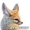ЛисичкоПак