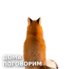 Стикер ЛисичкоПак