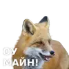 Стикер ЛисичкоПак