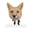 Стикер ЛисичкоПак