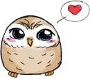 Owlet