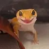 Стикер Lizard Boy
