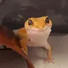 Стикер Lizard Boy