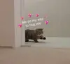 Абьюзер