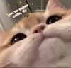 Стикер Абьюзер