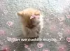 Стикер Абьюзер