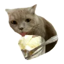 Стикер Лола