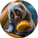 Стикер Lovely Lemurs