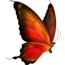 Стикер butterflyes