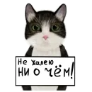 Мурзюня❤️‍🔥