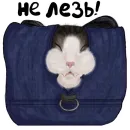 Стикер Мурзюня❤️‍🔥