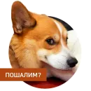 Стикер Lucky FSK