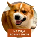 Стикер Lucky FSK