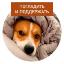 Стикер Lucky FSK