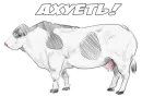 MILK STICK1 7