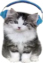 Стикер Music Animals