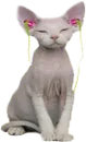 Стикер Music Animals