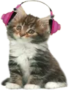 Стикер Music Animals
