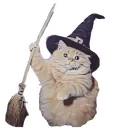 Стикер Magic Сat