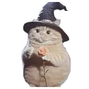 Стикер Magic Сat