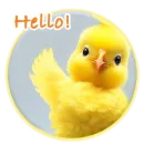 Magic Chicken channel: