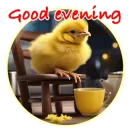 Стикер Magic Chicken channel: