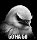 Стикер Birds Memes