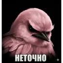 Стикер Birds Memes