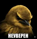 Стикер Birds Memes