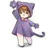 Малыш кот