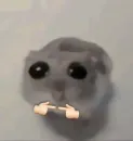 Mamoosh