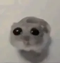 Стикер Mamoosh