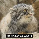 Стикер Manul