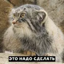 Стикер Manul