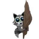 Стикер Mapache