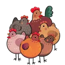 Стикер Маргаритка Без Текста