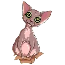 Маша Сфинкс